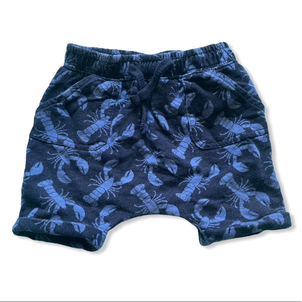 Old navy baby blue crab shorts